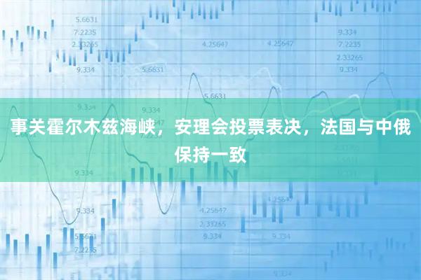 事关霍尔木兹海峡，安理会投票表决，法国与中俄保持一致