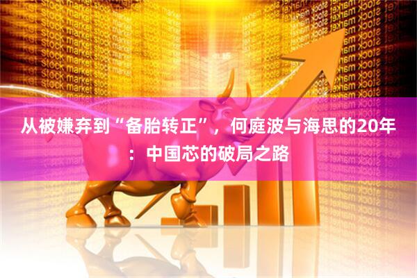 从被嫌弃到“备胎转正”，何庭波与海思的20年：中国芯的破局之路