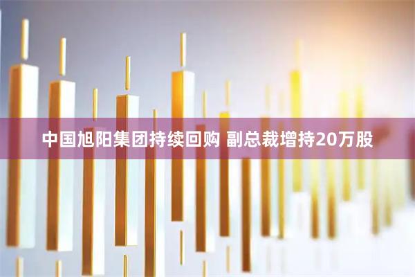 中国旭阳集团持续回购 副总裁增持20万股
