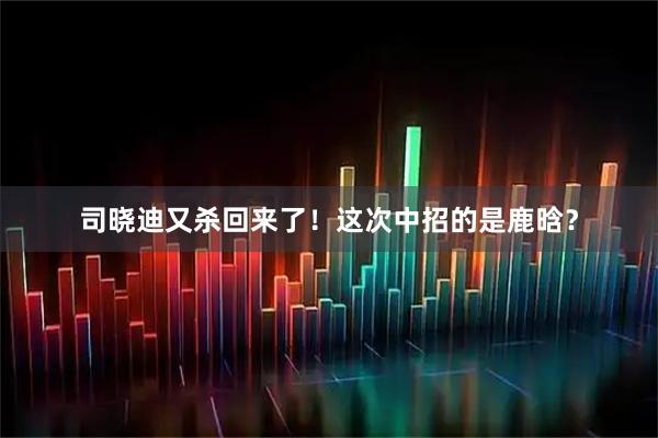 司晓迪又杀回来了！这次中招的是鹿晗？